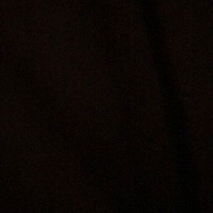 Cat and Jack boys shorts